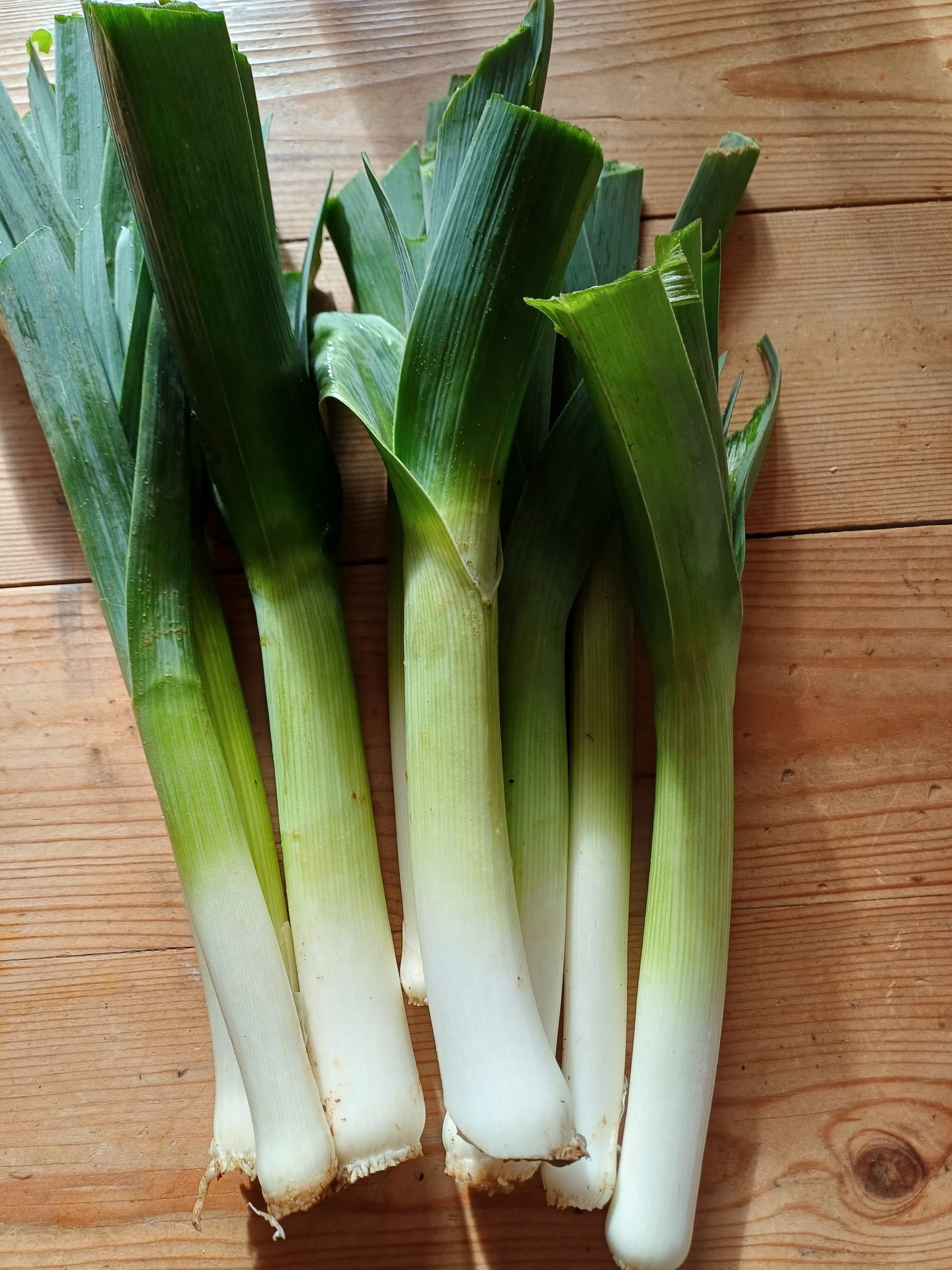 Baby leeks 300g