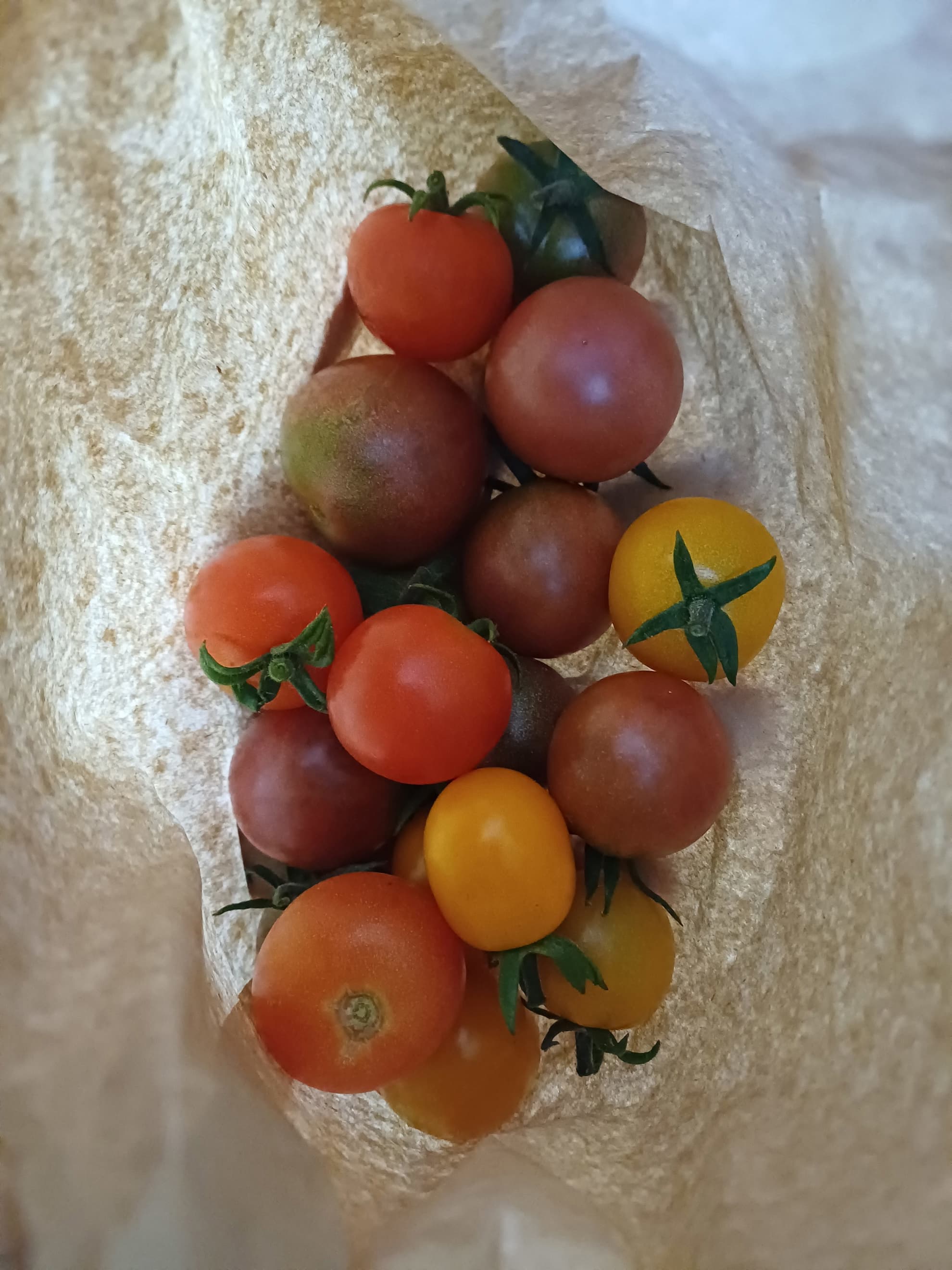 Cherry tomatoes mix 250g