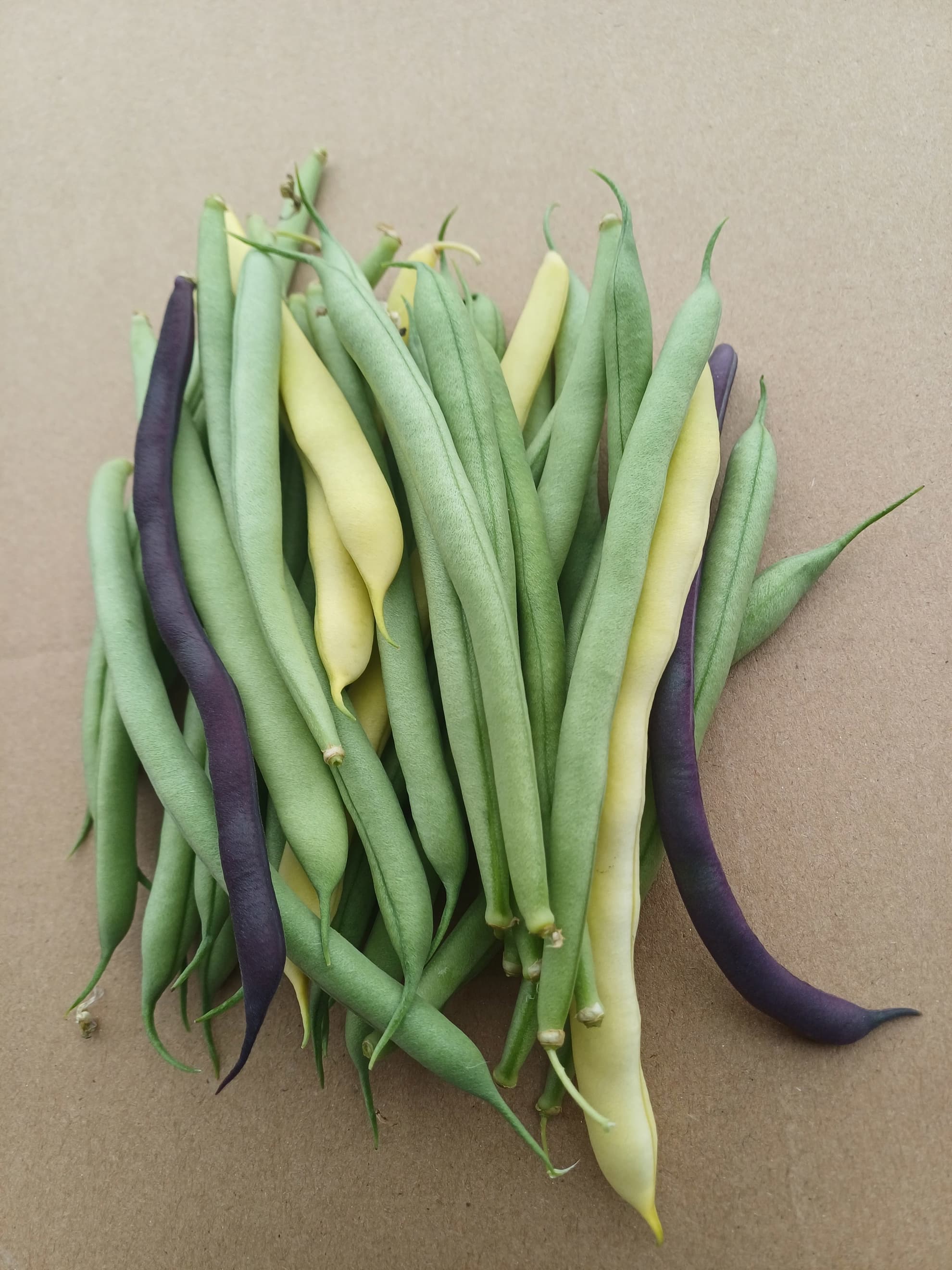 French beans 250g